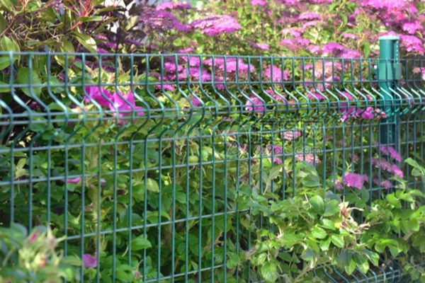 Plastic mesh for horticulture