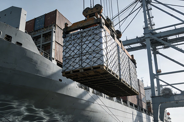 Export & Logistics Support